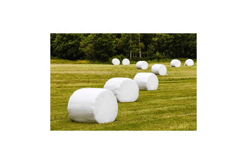 BPS | Polythene, Plastics & Packaging