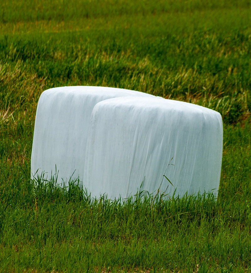 BPS | Polythene, Plastics & Packaging