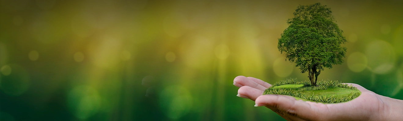 BPS | Polythene, Plastics & Packaging