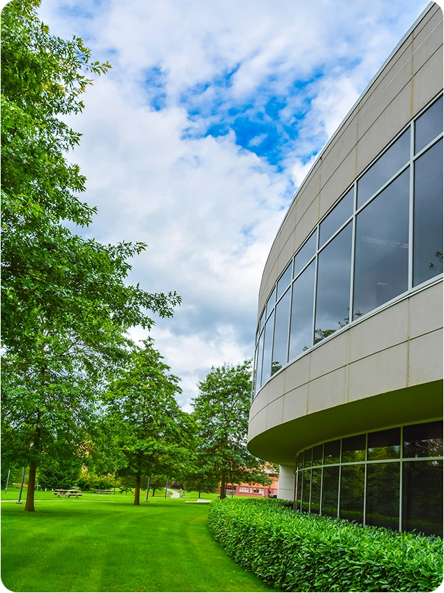 BPS | Polythene, Plastics & Packaging